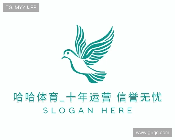 认识haha运营十年信誉官网入口